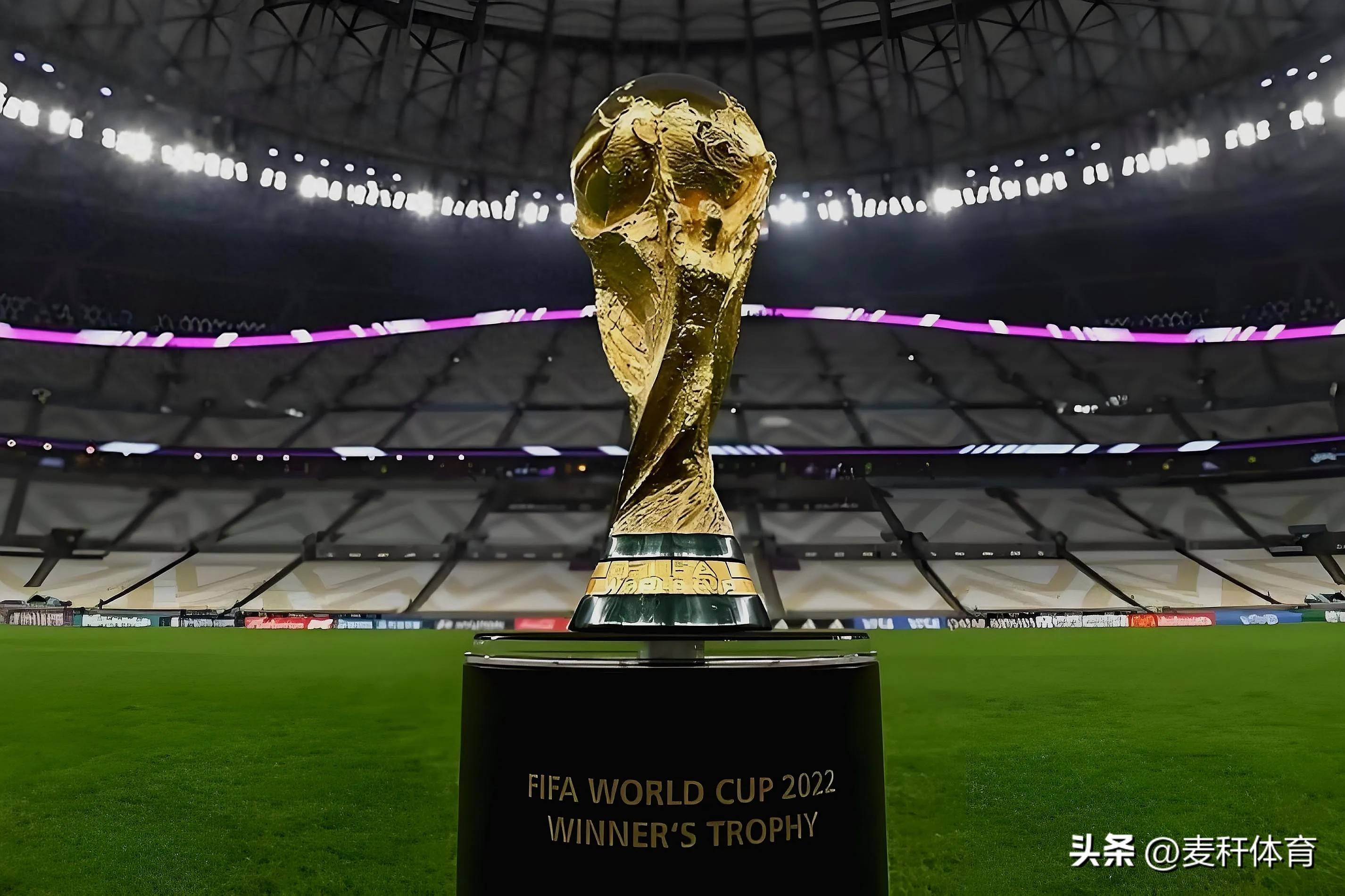 保障球员合 保障球员合